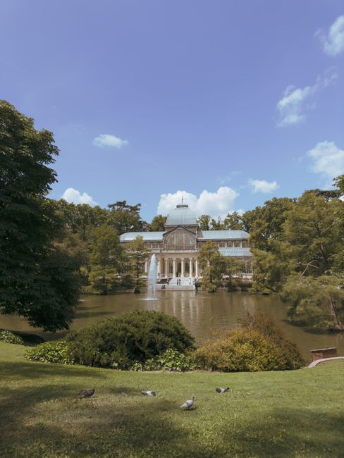 A historic glasshouse with classical architectural design, situated across a pond with a fountain in front, surrounded by lush green trees and shrubs under a partly cloudy blue sky. The scene is captured from a grassy area where a few pigeons are present, and the glasshouse is visible through the foliage. The setting suggests a park or botanical garden environment, with potential relevance to house removals or relocation services such as those offered by Crystal Palace Movers, featuring packing or transport logistics involving overview of outdoor scenery and property exterior.